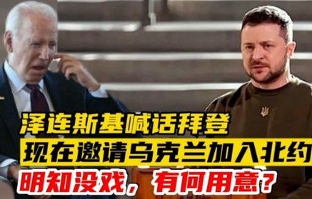 泽连斯基的期待，北约的邀请与乌克兰的未来