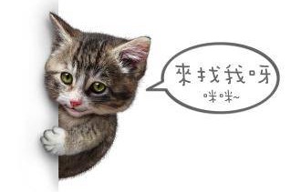 上海调皮獐出逃记，从浦东游向崇明的冒险之旅