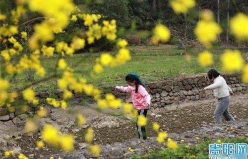 短剧春天花会开，63集的精彩绽放