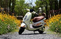 电动车排行榜(全国十大电动车排行榜)