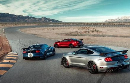 福特眼镜蛇多少万(福特眼镜蛇多少万跑车)