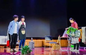 短剧二十九，六十六集的精彩演绎