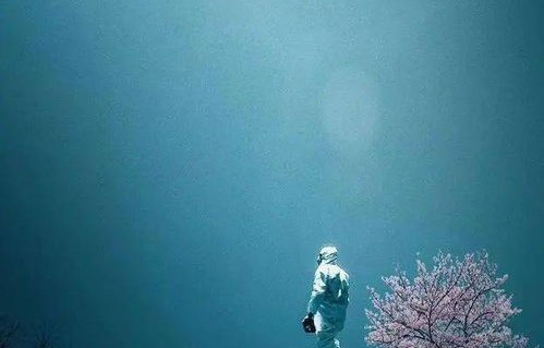 短剧情深不悔——百集人生感悟