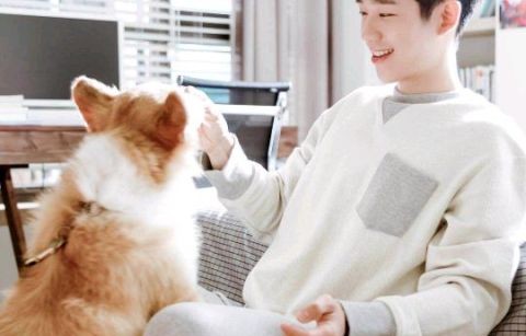 短剧我有九千万亿舔狗金，九百亿的甜蜜与挑战