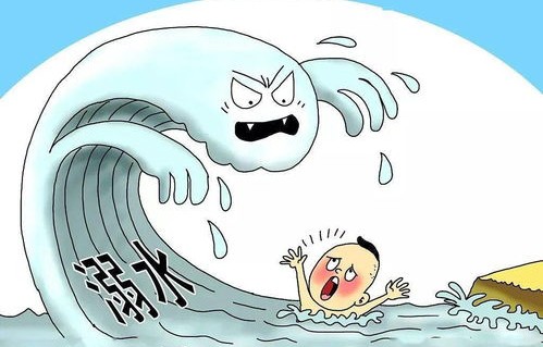 山东打捞海肠溺水事件，真相揭秘，谣言止步