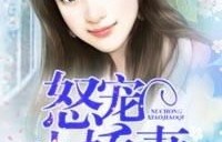 短剧风华，八零小娇妻的魅力之旅