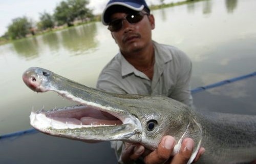 男子钓上保护动物，打卡拍照后展现大爱放生