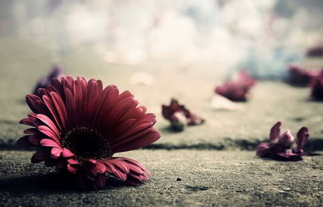 开致炫的人都很穷(开致炫被看不起)