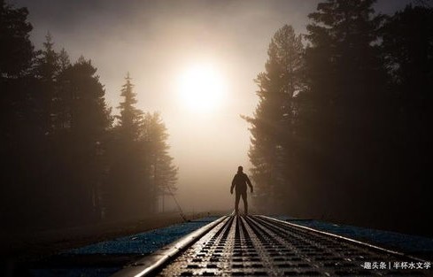 一意孤行，短剧的魅力与深度