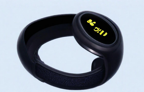 手环排行榜前十名（运动智能手环排行榜前十名）