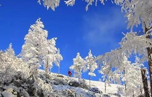 中国最冷小镇的寒冬，气温低至-37.4℃的挑战与奇迹