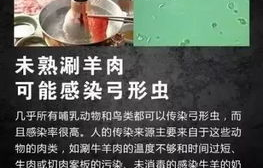 博物馆遭遇意外，两男孩拿走昆虫引发事件，博物馆的积极回应