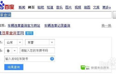 车辆违章查询123123(车辆违章查询123123怎么查询不到)