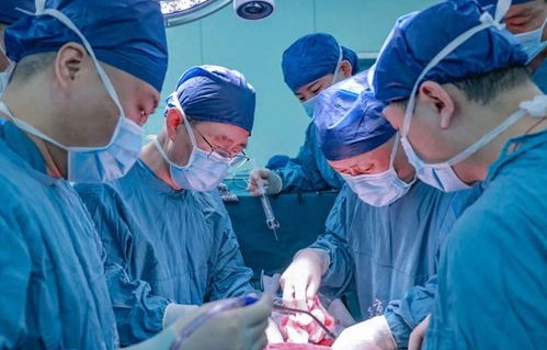 中国医学奇迹，猪肾与猪肝移植人体成功案例