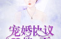 夜色盛妆，91集短剧的魅力与故事