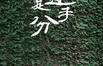 短剧莫别离，百集人生百态