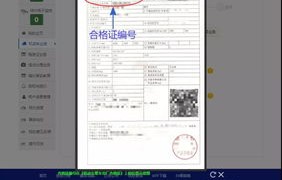 车辆识别代码查询系统(车辆识别代码查询app)