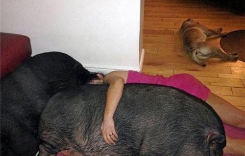 女生吃糖葫芦遭遇意外，糖分甜蜜背后的苦涩