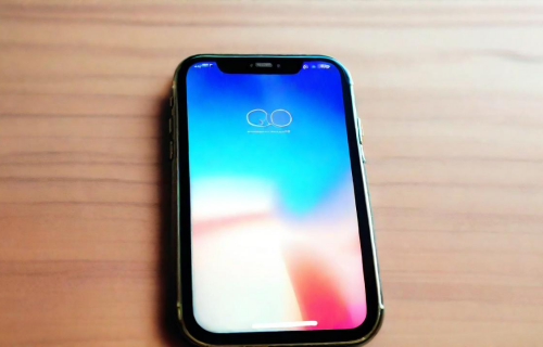 iphonex开机循环白苹果（iphonex开机循环白苹果怎么办）