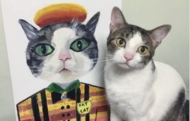 女子一月八次光顾猫咖，不慎染上宠物癣——警惕与宠物亲密接触的健康风险