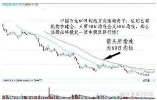 港股终结日线六连涨，市场波动背后的深度解析