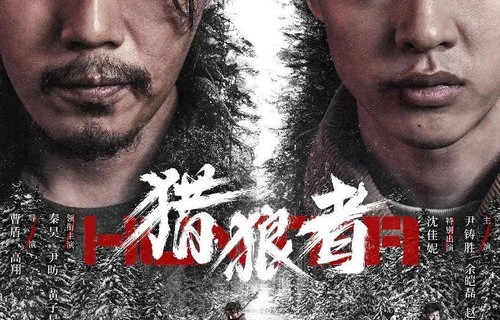 短剧真假龙帅的深度解析，81集的传奇故事