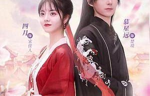 短剧画皮王妃与长篇故事的魅力交织