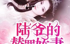 陆少别虐了——深情罪爱之短剧篇