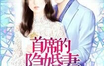 短剧隐婚甜妻，财阀老公太会撩！——92集的甜蜜之旅