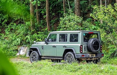 国产最好的四驱越野车(国产最好的四驱越野车图片)