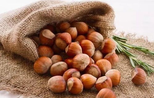 合理食用四种坚果，养生之道吃对不吃错