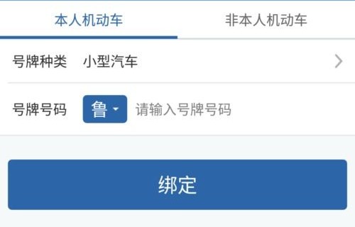 12123查询车辆信息(12123如何看车辆信息)