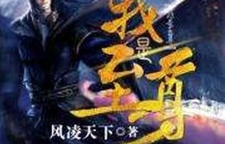 短剧豪门至尊，三十四集的华丽篇章