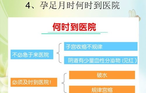 马斯克观点解析，为何当下是生育孩子的最佳时机
