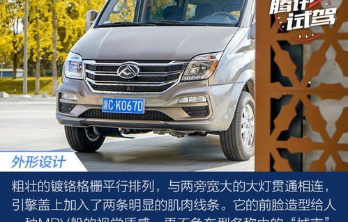 上汽大通9座商务车(上汽大通9座商务车v80图片)