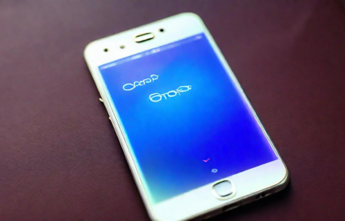 oppor（oppor9）