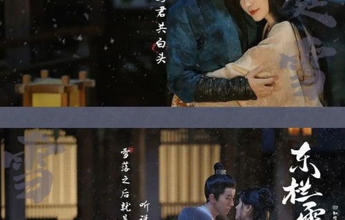 短剧今日荣归之雪宝宝的传奇故事