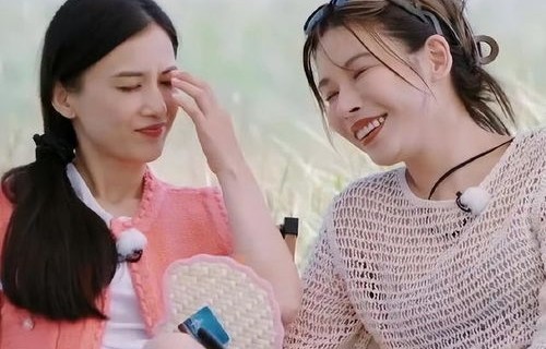 张泉灵的再见，从再见爱人到4受害者的深度解读