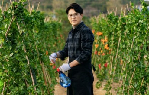 短剧她在寒风中绽放——87集的温暖与力量