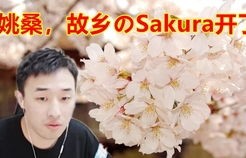 短剧末日倒计时——丁晓的生存之旅