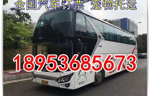 汽车时刻表查询(济南到东营汽车时刻表查询)