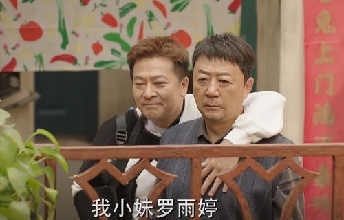 张小斐佟大为新剧一家六口全离婚的深度解读