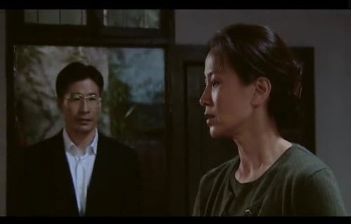 男人的复仇，百集短剧的深度解析