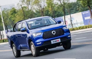 长城皮卡车价格大全柴油(长城皮卡车价格2020款柴油价格)