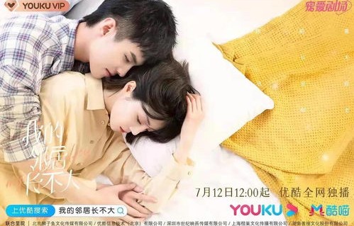 短剧财团夫妇闪婚后狂掉马甲——94集的甜蜜与波折