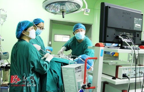 上海知名玩偶医生挂号费高达180元，公众的关注与思考