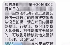 违章一般几个小时收到短信(违章一般几个小时收到短信节假日算吗)