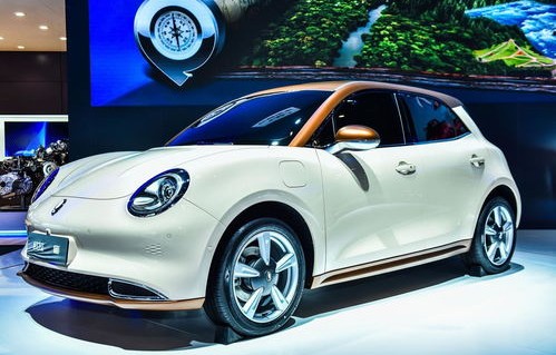 长城欧拉好猫(买欧拉好猫十大忠告)