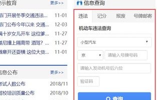 输入车牌号查违章(输入车牌号查违章全国违章查询)