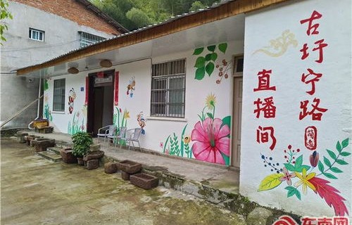 短剧致富之路，乡村启航（50集系列）